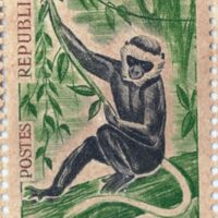 Parcourir le fichier (245).jpg