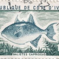 Parcourir le fichier (220).jpg