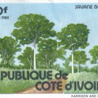 Parcourir le fichier (99).jpg