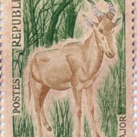 Parcourir le fichier (244).jpg