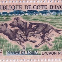 Parcourir le fichier (246).jpg