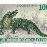 Parcourir le fichier (149).jpg