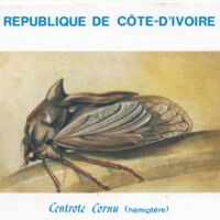 Parcourir le fichier.jpg