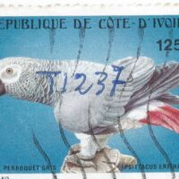 Parcourir le fichier (223).jpg