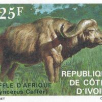 Parcourir le fichier (155).jpg