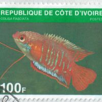 Parcourir le fichier (197).jpg