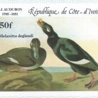 Parcourir le fichier (159).jpg