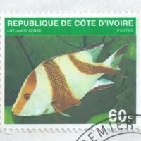 Parcourir le fichier (198).jpg