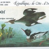 Parcourir le fichier (158).jpg