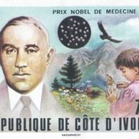 Parcourir le fichier.jpg