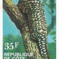 Parcourir le fichier (153).jpg