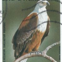 Parcourir le fichier (224).jpg