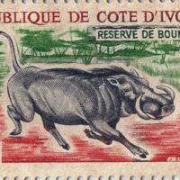 Parcourir le fichier (243).jpg