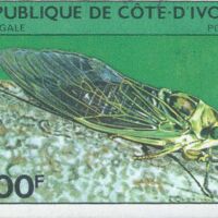 Parcourir le fichier (164).jpg