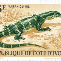 Parcourir le fichier (148).jpg