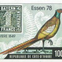 Parcourir le fichier.jpg