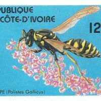 Parcourir le fichier (146).jpg