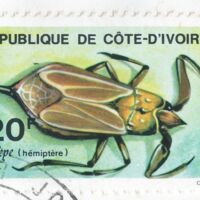 Parcourir le fichier.jpg