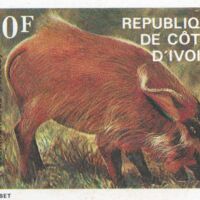 Parcourir le fichier (154).jpg