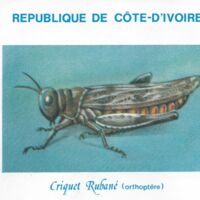 Parcourir le fichier.jpg
