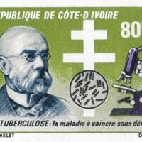 Parcourir le fichier (83).jpg