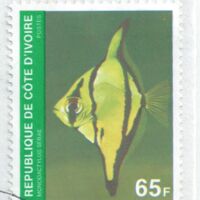 Parcourir le fichier (199).jpg