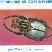 Parcourir le fichier (4).jpg