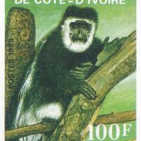 Parcourir le fichier (152).jpg